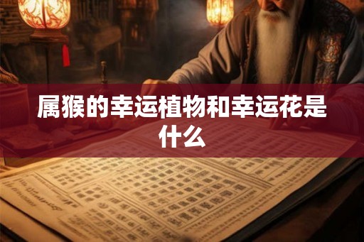 属猴的幸运植物和幸运花是什么