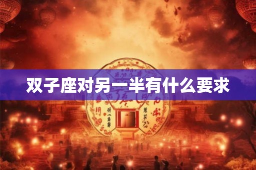 双子座对另一半有什么要求