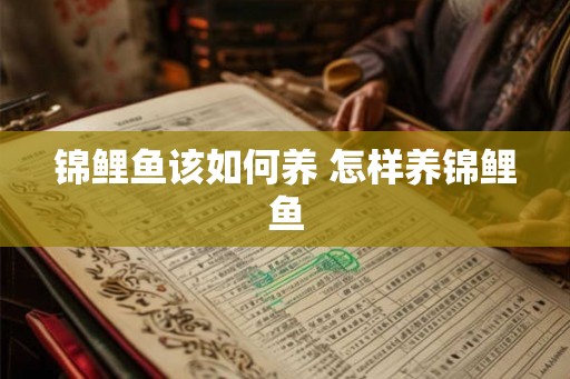 锦鲤鱼该如何养 怎样养锦鲤鱼