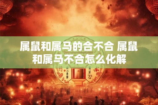 属鼠和属马的合不合 属鼠和属马不合怎么化解
