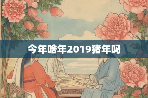 今年啥年2019猪年吗 今年啥年2019猪年吗