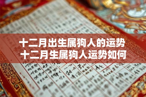 十二月出生属狗人的运势 十二月生属狗人运势如何 十二月出生属狗人的运势 十二月生属狗人运势如何