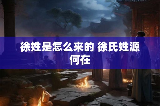 徐姓是怎么来的 徐氏姓源何在