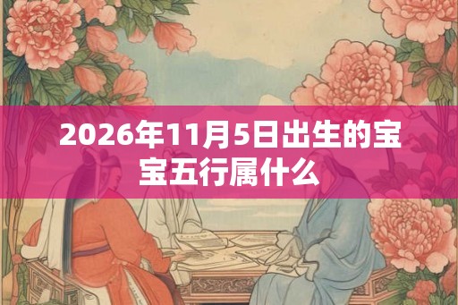 2026年11月5日出生的宝宝五行属什么