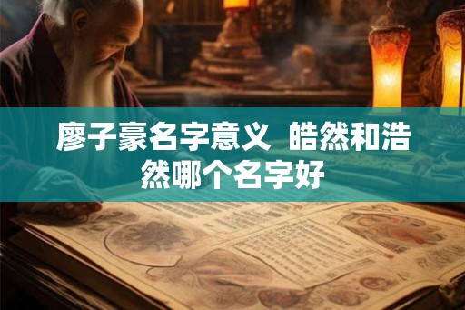 廖子豪名字意义  皓然和浩然哪个名字好