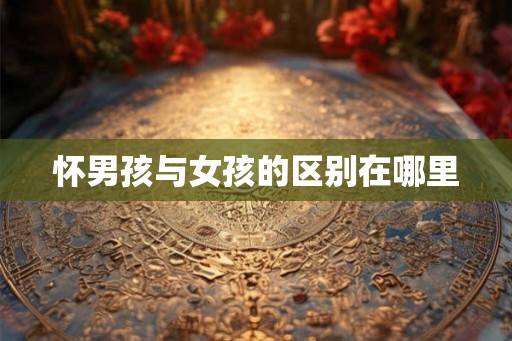 怀男孩与女孩的区别在哪里