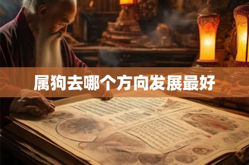 属狗去哪个方向发展最好