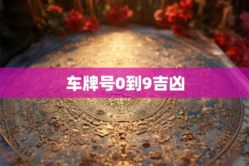 车牌号0到9吉凶