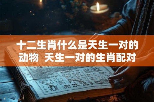 十二生肖什么是天生一对的动物 天生一对的生肖配对 十二生肖什么是天生一对的动物 天生一对的生肖配对