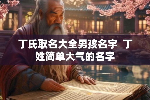 丁氏取名大全男孩名字  丁姓简单大气的名字