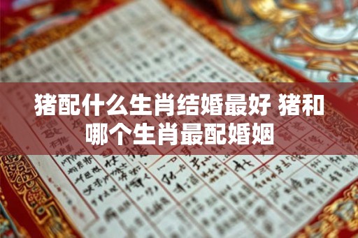 猪配什么生肖结婚最好 猪和哪个生肖最配婚姻