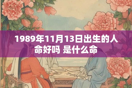 1989年11月13日出生的人命好吗 是什么命