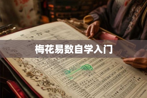 梅花易数自学入门