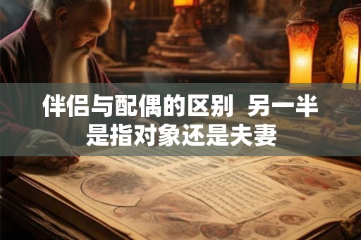 伴侣与配偶的区别  另一半是指对象还是夫妻