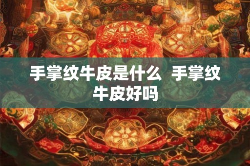 手掌纹牛皮是什么  手掌纹牛皮好吗