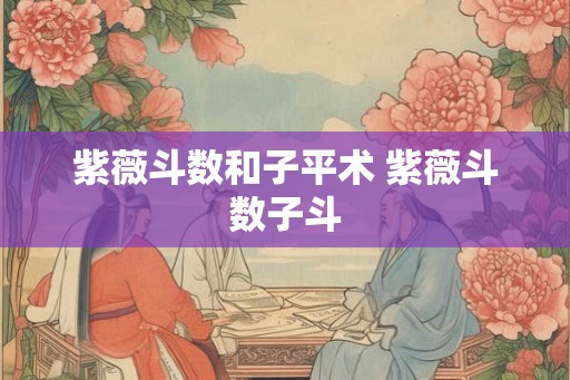 紫薇斗数和子平术 紫薇斗数子斗
