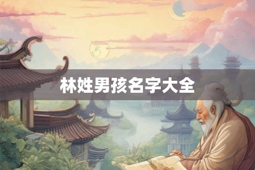 林姓男孩名字大全