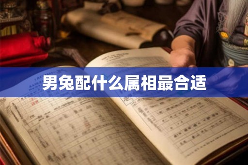 男兔配什么属相最合适