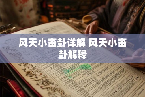 风天小畜卦详解 风天小畜卦解释