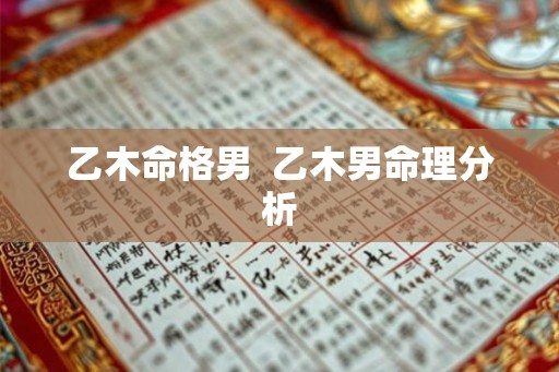 乙木命格男  乙木男命理分析