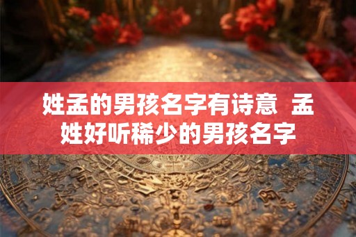 姓孟的男孩名字有诗意  孟姓好听稀少的男孩名字