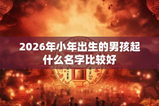 2026年小年出生的男孩起什么名字比较好