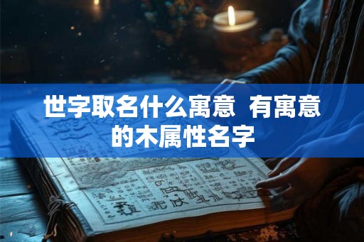 世字取名什么寓意  有寓意的木属性名字