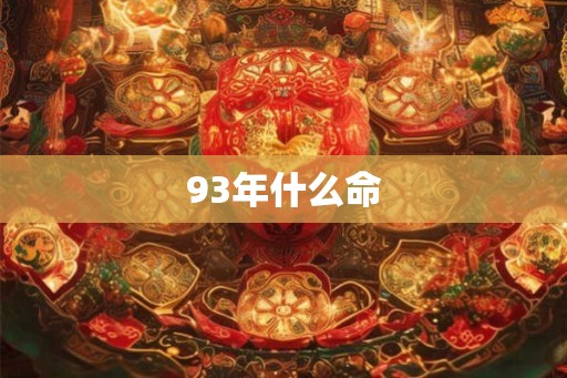 93年什么命