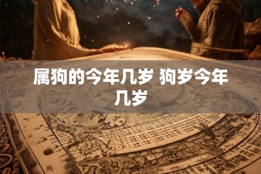 属狗的今年几岁 狗岁今年几岁