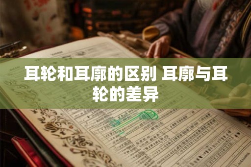 耳轮和耳廓的区别 耳廓与耳轮的差异