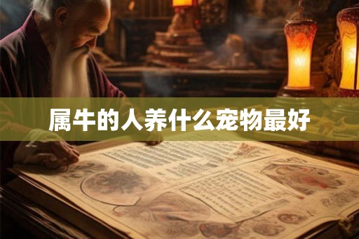 属牛的人养什么宠物最好