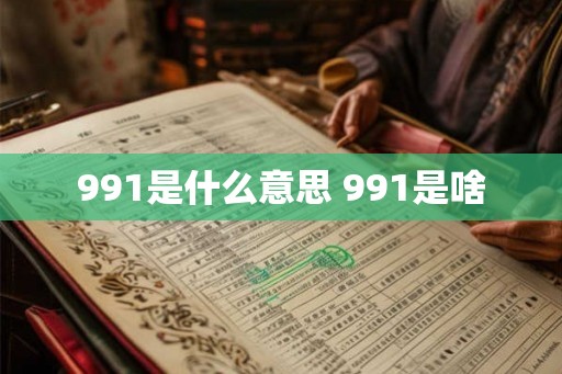 991是什么意思 991是啥