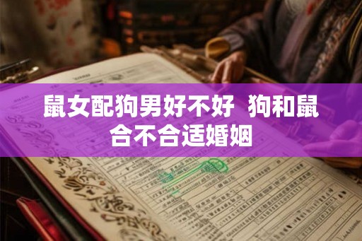 鼠女配狗男好不好  狗和鼠合不合适婚姻