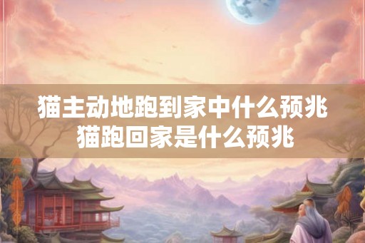 猫主动地跑到家中什么预兆 猫跑回家是什么预兆