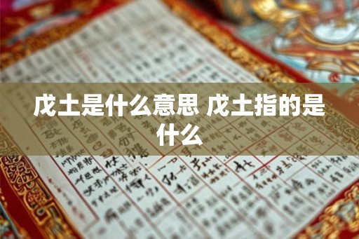 戊土是什么意思 戊土指的是什么