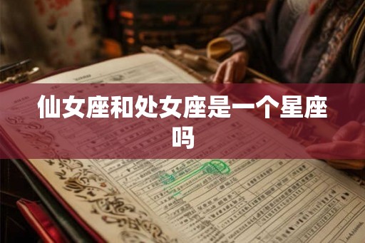 仙女座和处女座是一个星座吗