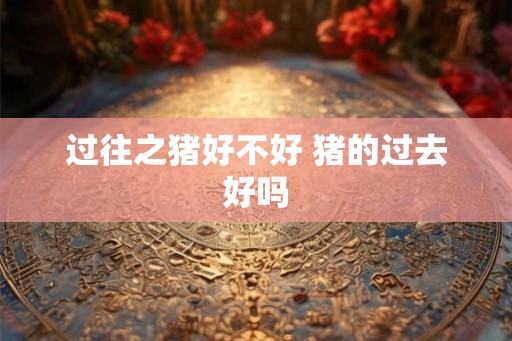 过往之猪好不好 猪的过去好吗