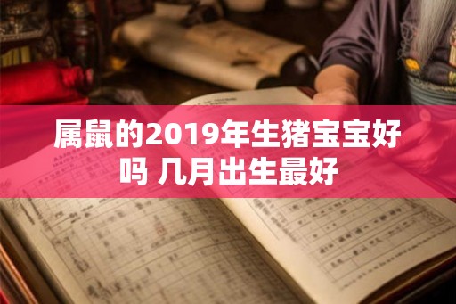 属鼠的2019年生猪宝宝好吗 几月出生最好