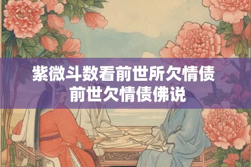 紫微斗数看前世所欠情债  前世欠情债佛说