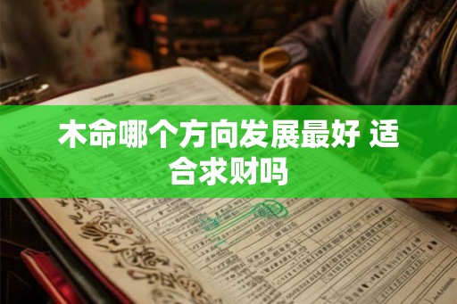 木命哪个方向发展最好 适合求财吗