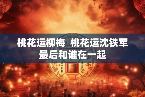 桃花运柳梅  桃花运沈铁军最后和谁在一起