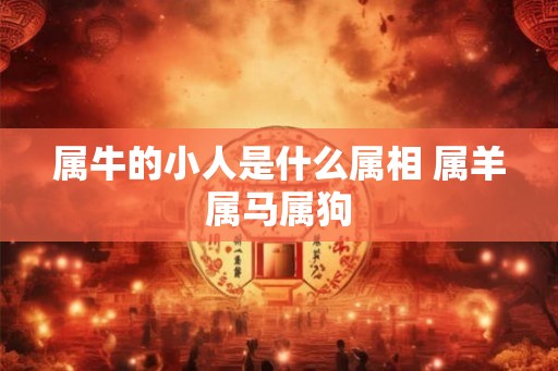 属牛的小人是什么属相 属羊属马属狗