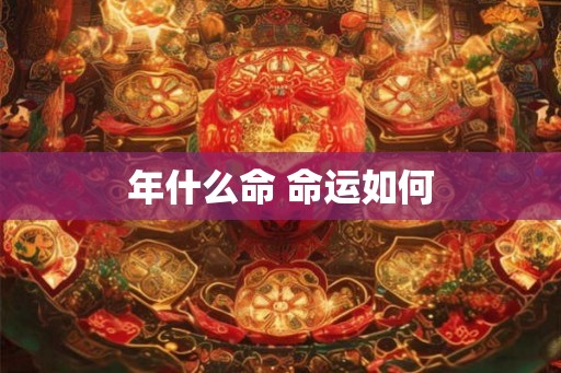 年什么命 命运如何