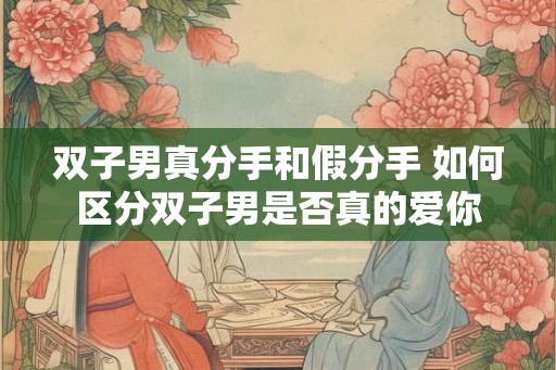 双子男真分手和假分手 如何区分双子男是否真的爱你 双子男真分手和假分手 如何区分双子男是否真的爱你