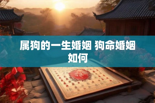 属狗的一生婚姻 狗命婚姻如何