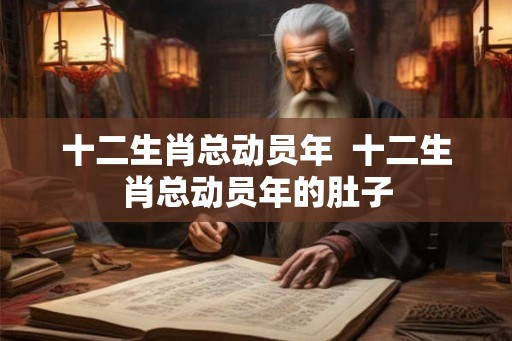 十二生肖总动员年  十二生肖总动员年的肚子