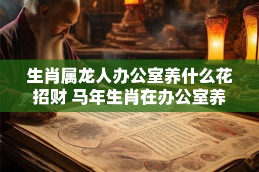 生肖属龙人办公室养什么花招财 马年生肖在办公室养哪种花最招财