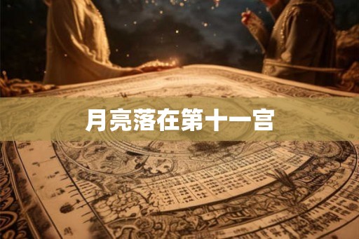 月亮落在第十一宫