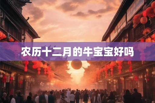 农历十二月的牛宝宝好吗
