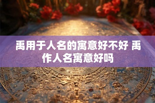 禹用于人名的寓意好不好 禹作人名寓意好吗